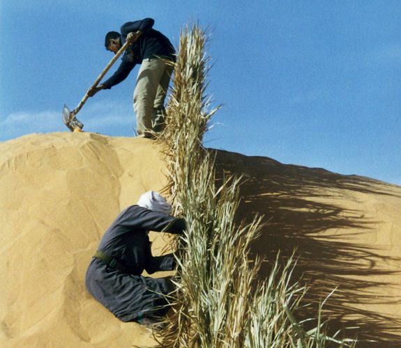 Oase Timimoun, Algerien