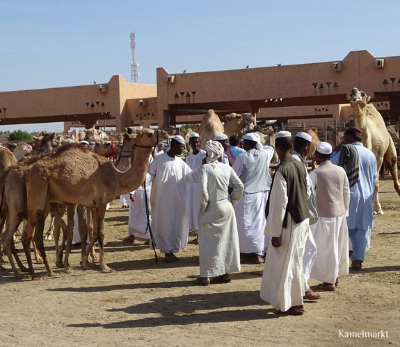 Al Ain (VAE), die gr�ne Gartenstadt