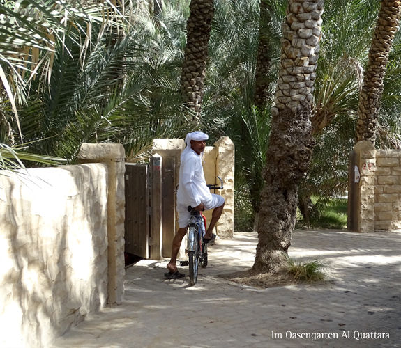 Al Ain (VAE), die gr�ne Gartenstadt