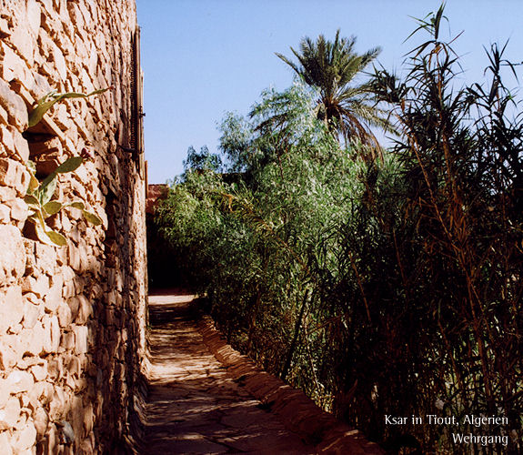 Auf den Spuren von Isabelle Eberhardt