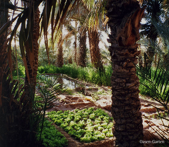 Auf den Spuren von Isabelle Eberhardt