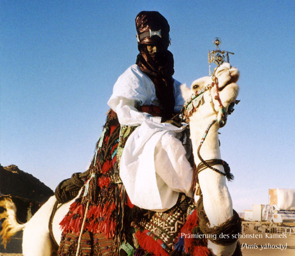 Imzad Kulturfest in Tamanrasset/Algerien