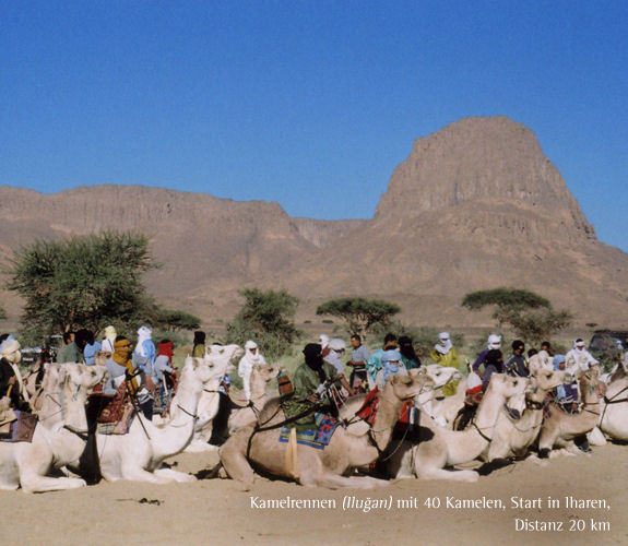 Imzad Kulturfest in Tamanrasset/Algerien