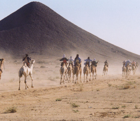Imzad Kulturfest in Tamanrasset/Algerien