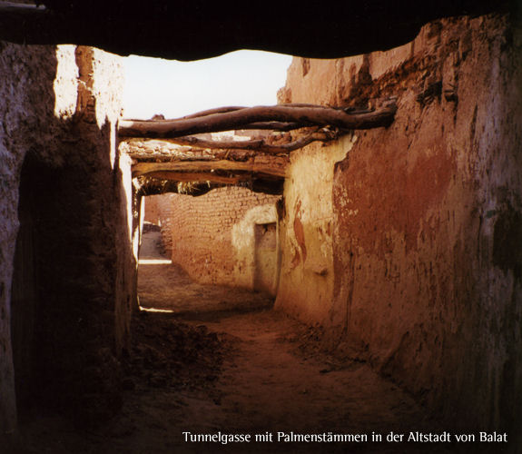 Oasen der Westlichen W�ste / �gypten