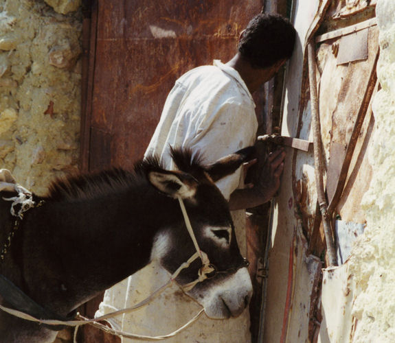 Oasen der Westlichen W�ste / �gypten