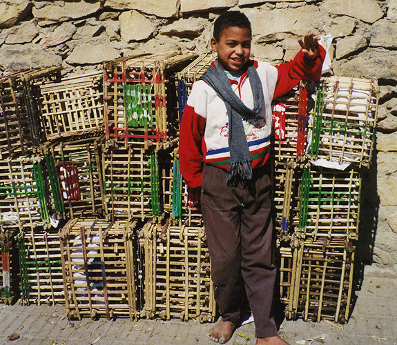 Oasen der Westlichen W�ste / �gypten