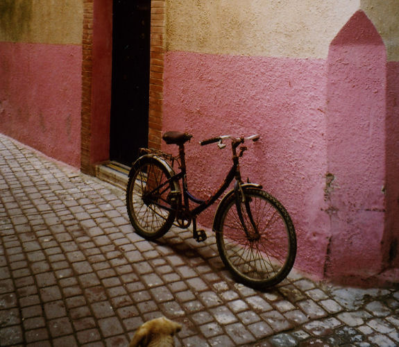 Essaouira � marokkanische Atlantikk�ste