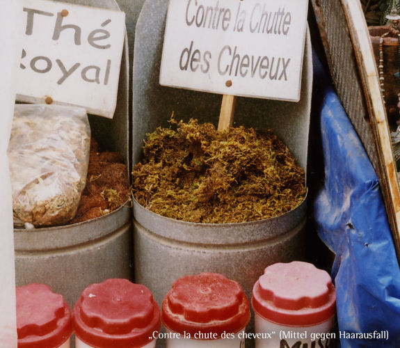 Essaouira � marokkanische Atlantikk�ste